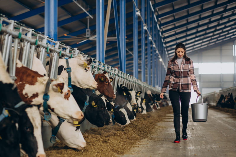 Dairy farm equipment suppliers