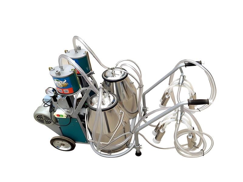 Double Bucket Piston Milker