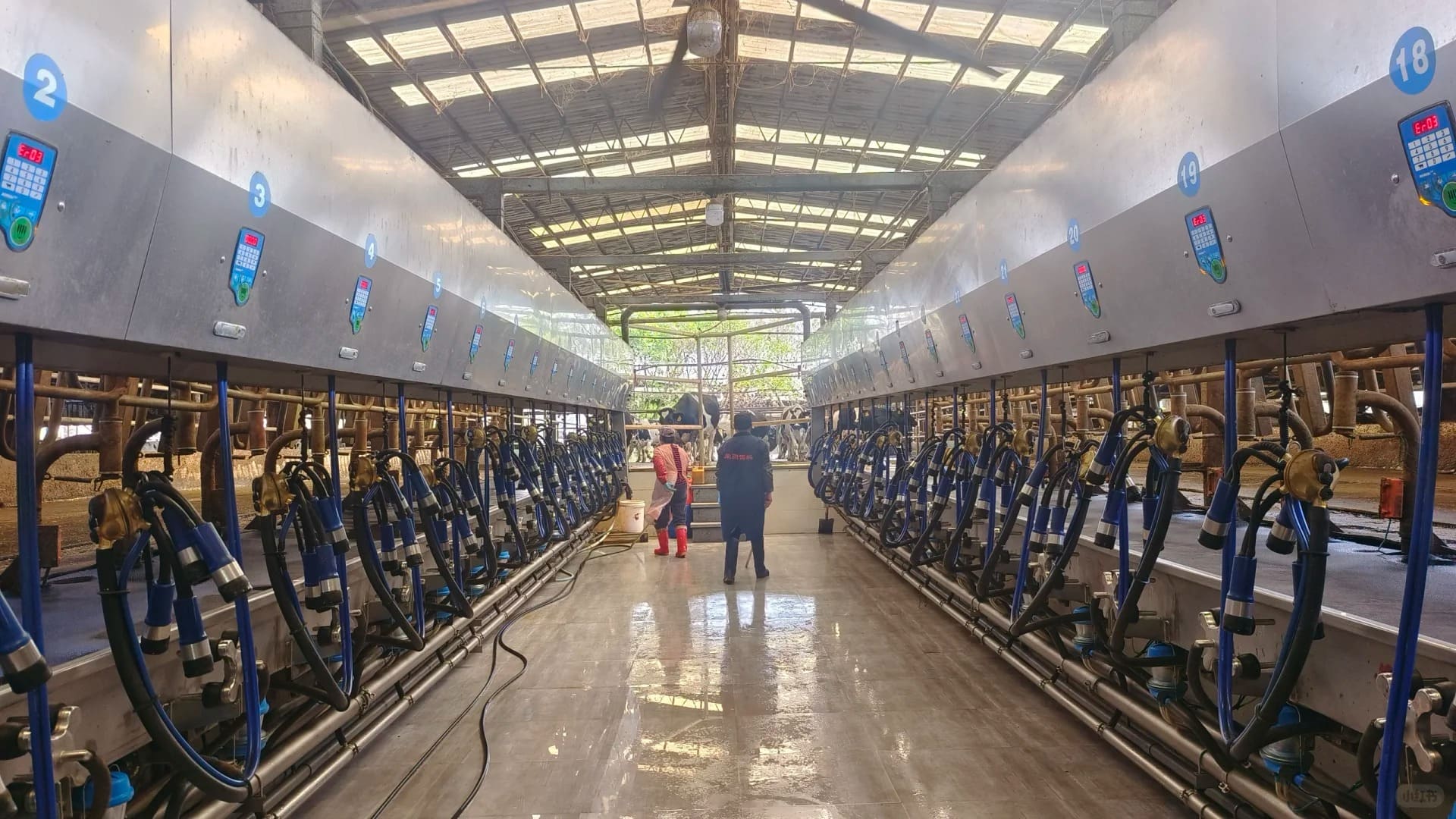 Engineering Blueprint