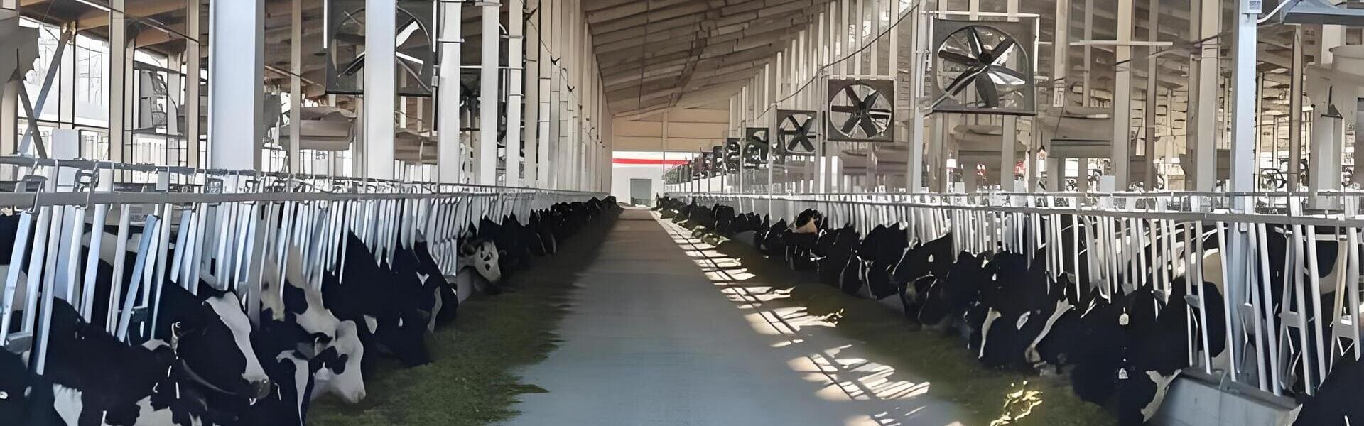 NexAgri TMR Mixer in Operation