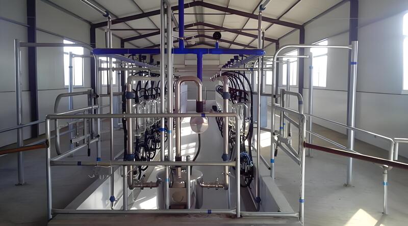 Herringbone Milking Parlor