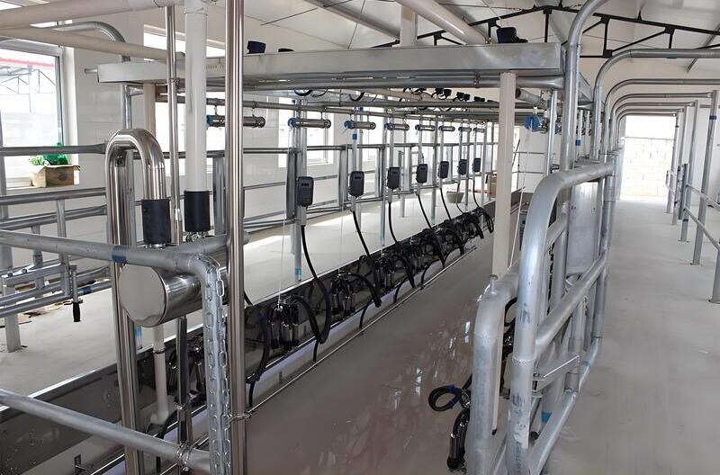 Parallel Structure Diagram