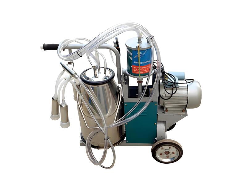 Single Bucket Piston Milker