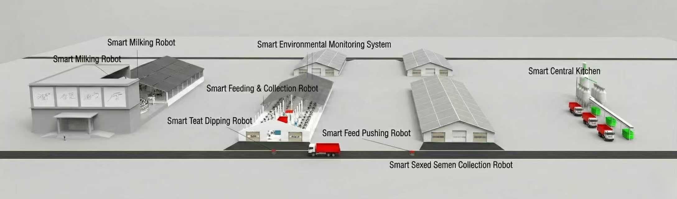 Modern Dairy Farm Overview