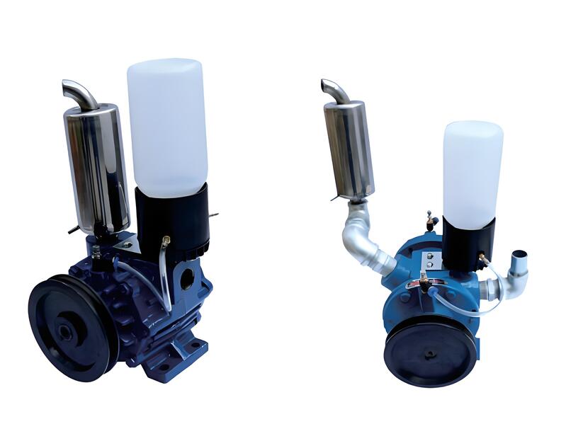 HL-V Series Dairy Vacuum Pumps