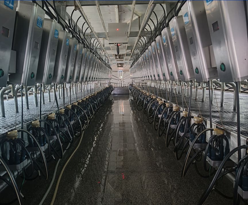 Stainless Steel Milk Tank