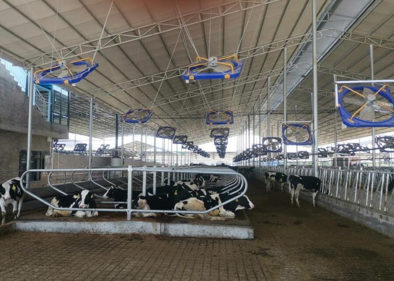 The Truth About Dairy Farming: 8 Misconceptions & The Modern Tech Solving Them?