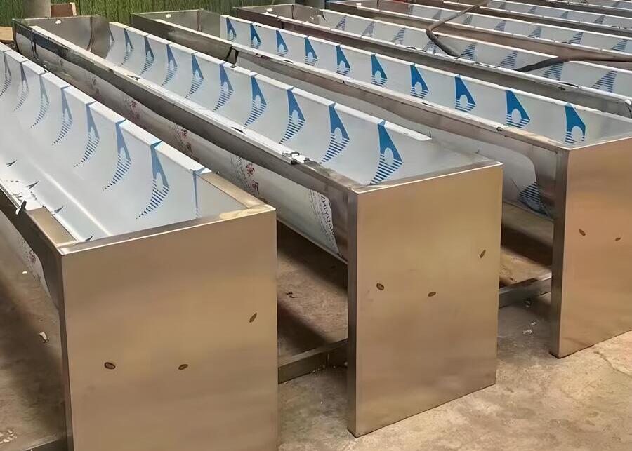 A clean, stainless steel automatic water trough for calves