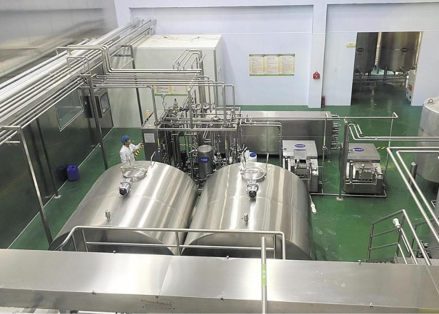 Dairy Processing Control Panel An operator monitoring a dairy processing control panel