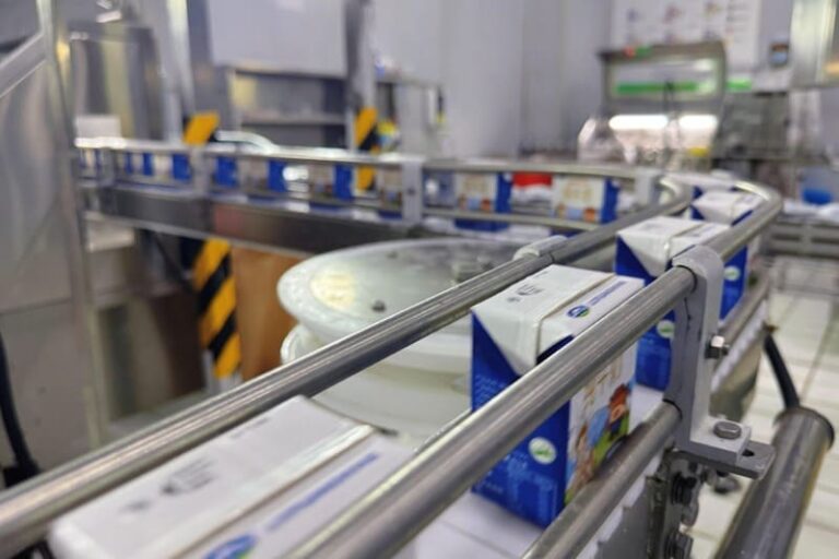 From Cow to Carton: What is the Complete Commercial Dairy Process?