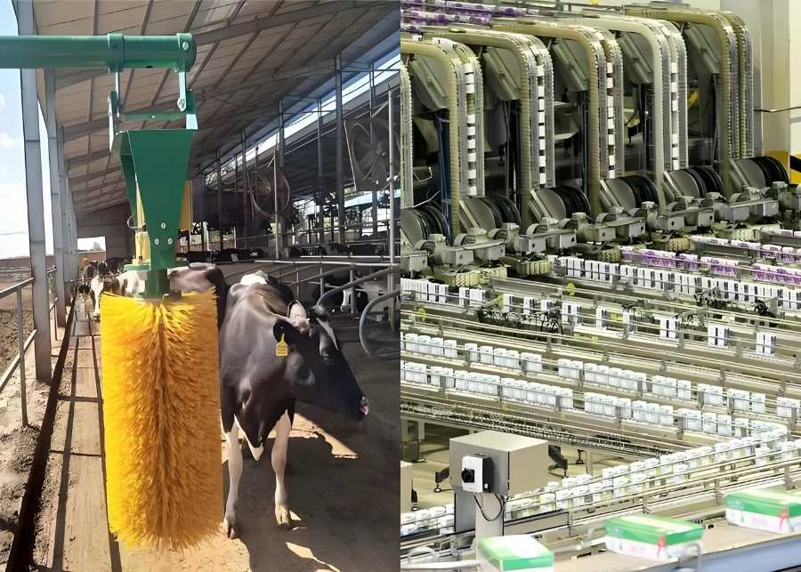 dairy farm equipment vs processing lines