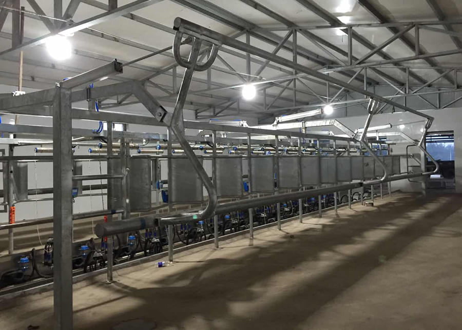 Herringbone milking parlor