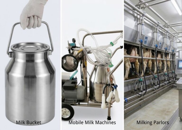 What is the Best Milking Machine for Cows in 2026: From Portable to Full Parlor Systems?
