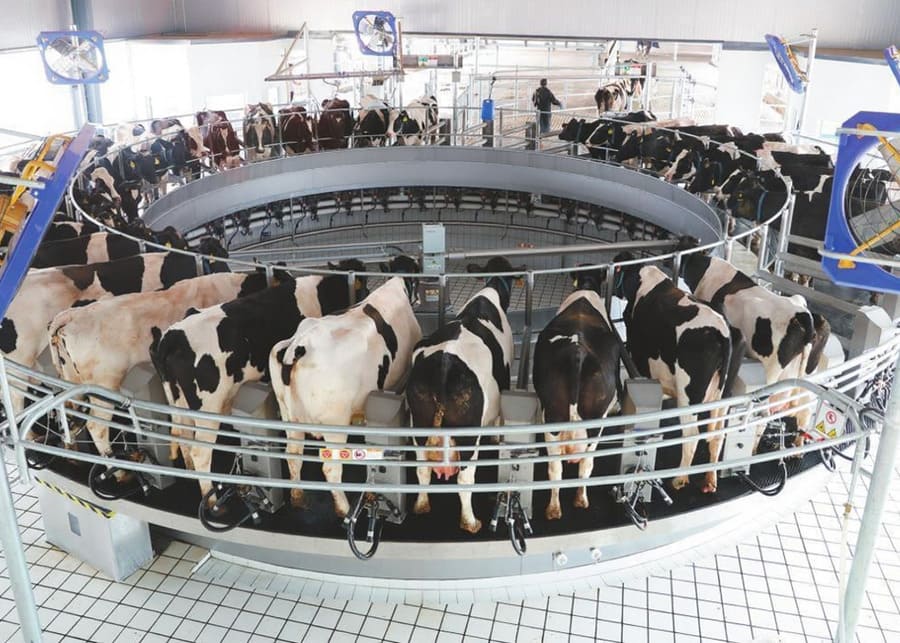 A clean, modern rotary milking parlor currently in operation.