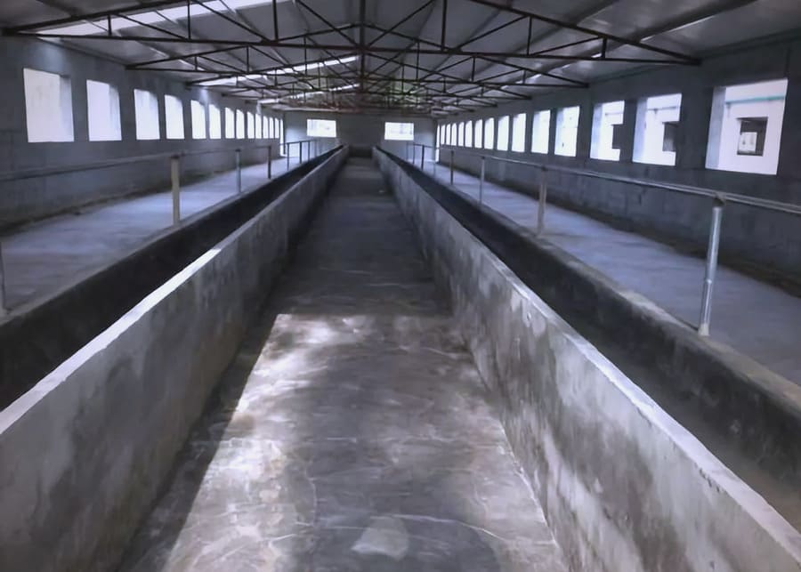 Small Dairy Barn Design A compact and efficient barn design for 40 dairy cows