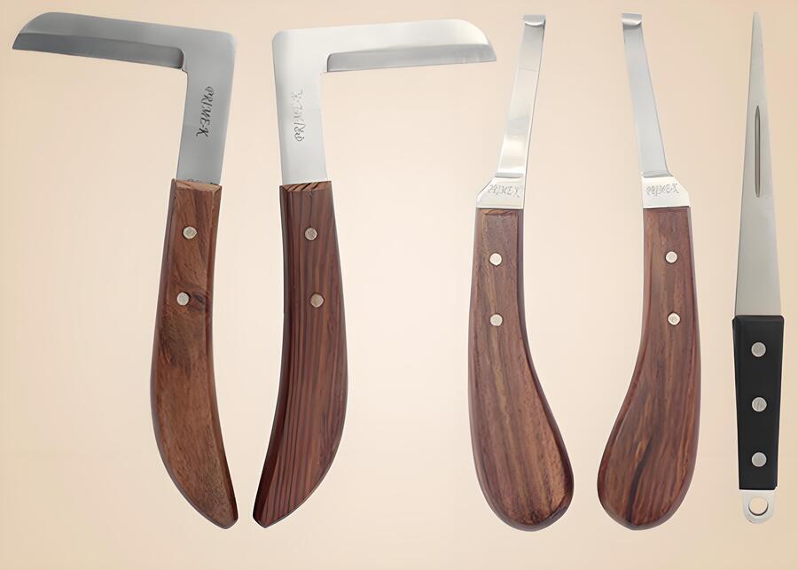 Cow Hoof Trimming Tools An organized layout of professional hoof trimming tools