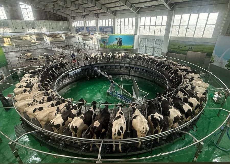 top 10 global dairy farm equipment manufacturers