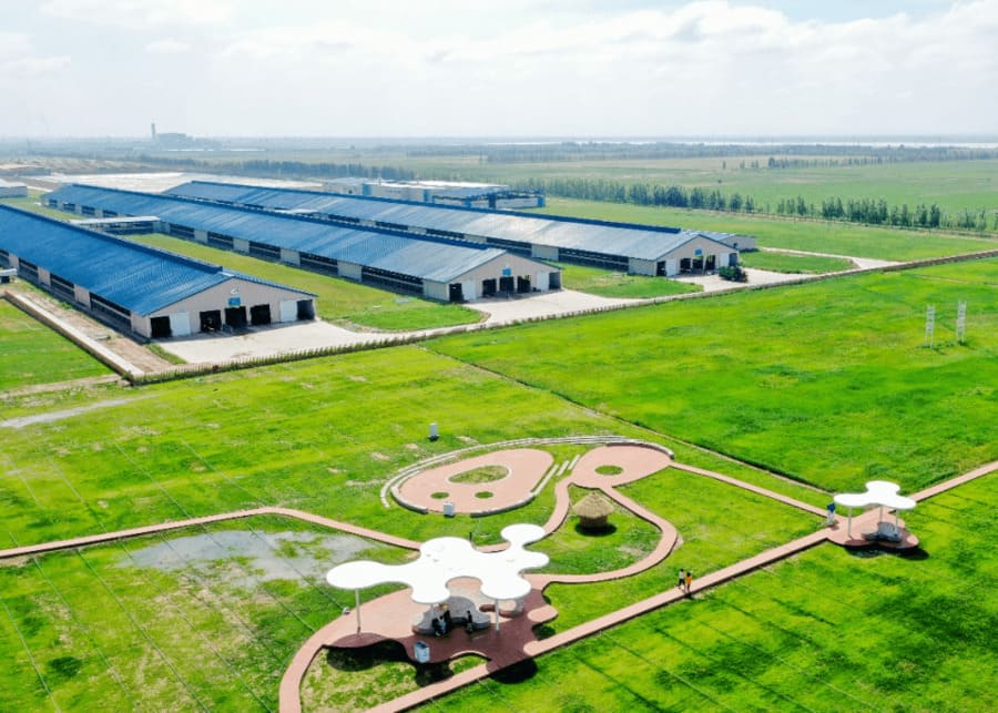 An eco-friendly smart dairy farm.