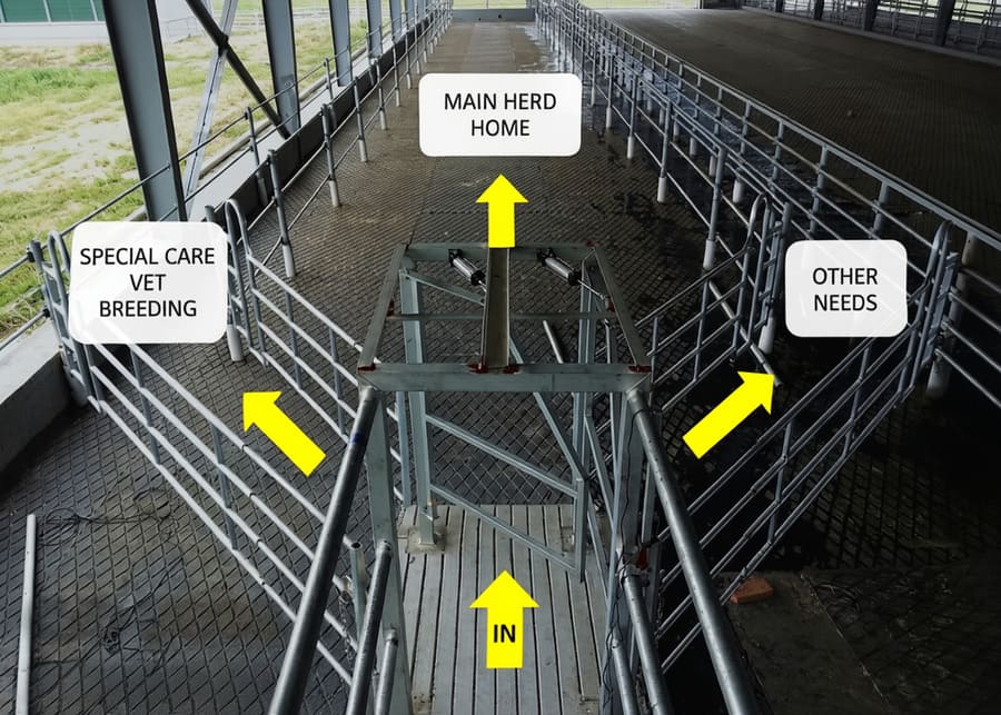 Diagram showing a one-in, three-out sorting gate layout