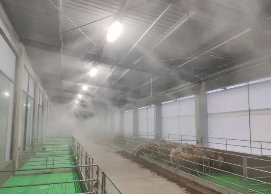 The sheepfold was disinfected using an automated disinfection sprayer.