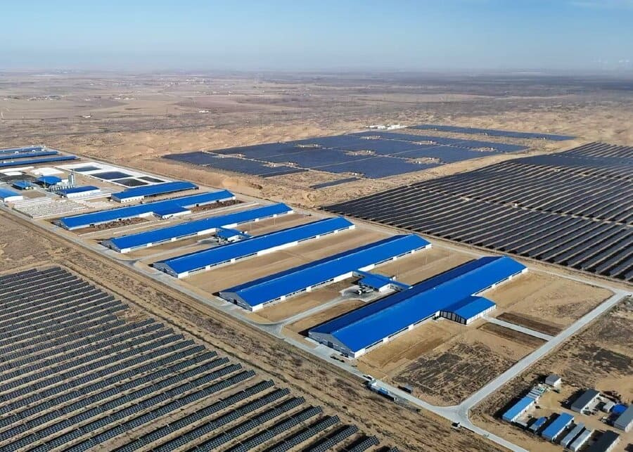 A smart dairy farm in the desert from an aerial view