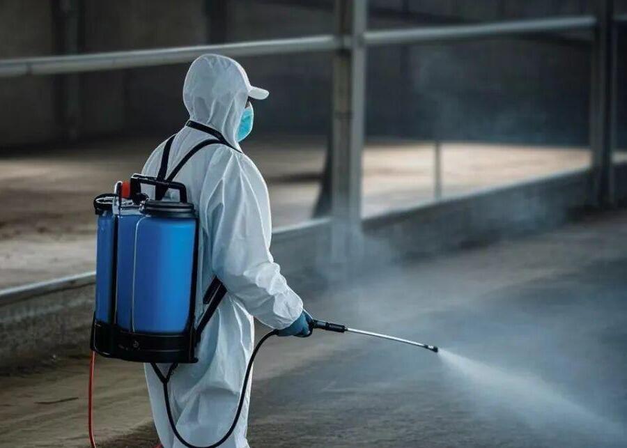A farmer spraying a light mist disinfectant in a cow barn
