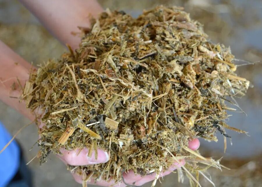 A pile of mixed feed, showing the consistency of a TMR