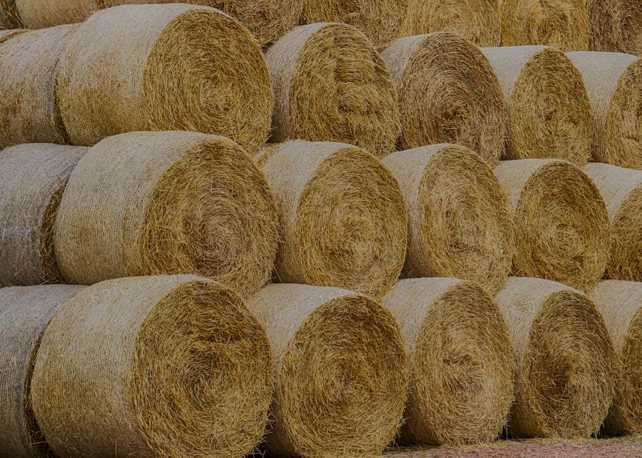 Neatly stacked straw bales