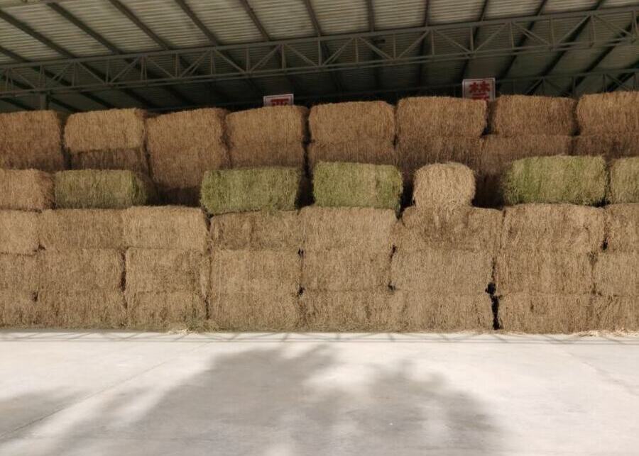 Haystacks stored in the ranch warehouse
