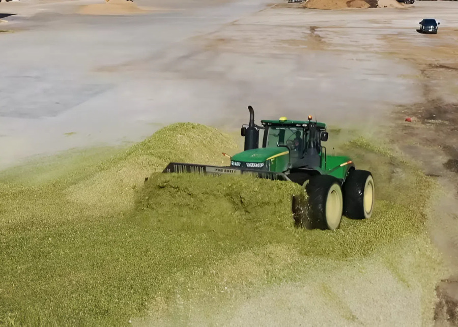 A heavy 50-type loader compacting silage