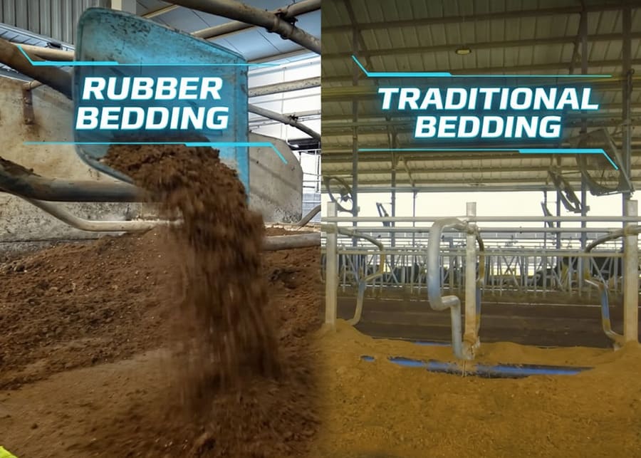 A side-by-side comparison of a deep-bedded stall and a hybrid stall