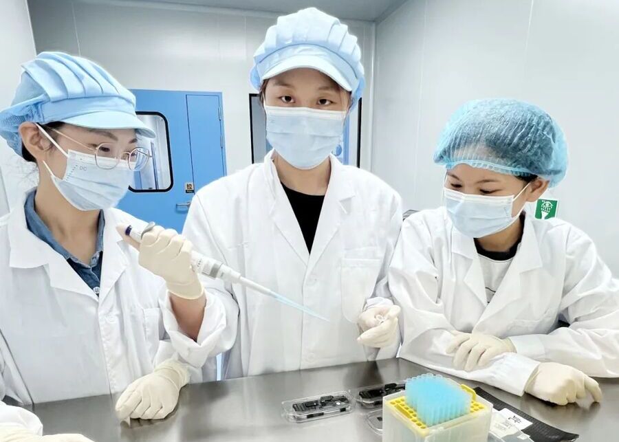 A laboratory technician analyzing a sample of animal feed