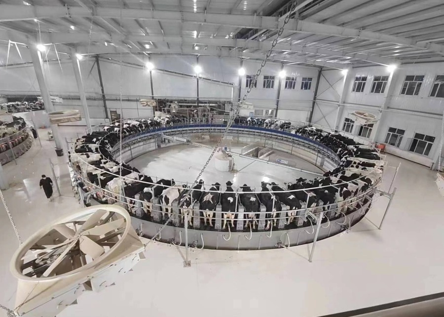 modern milking parlor equipment
