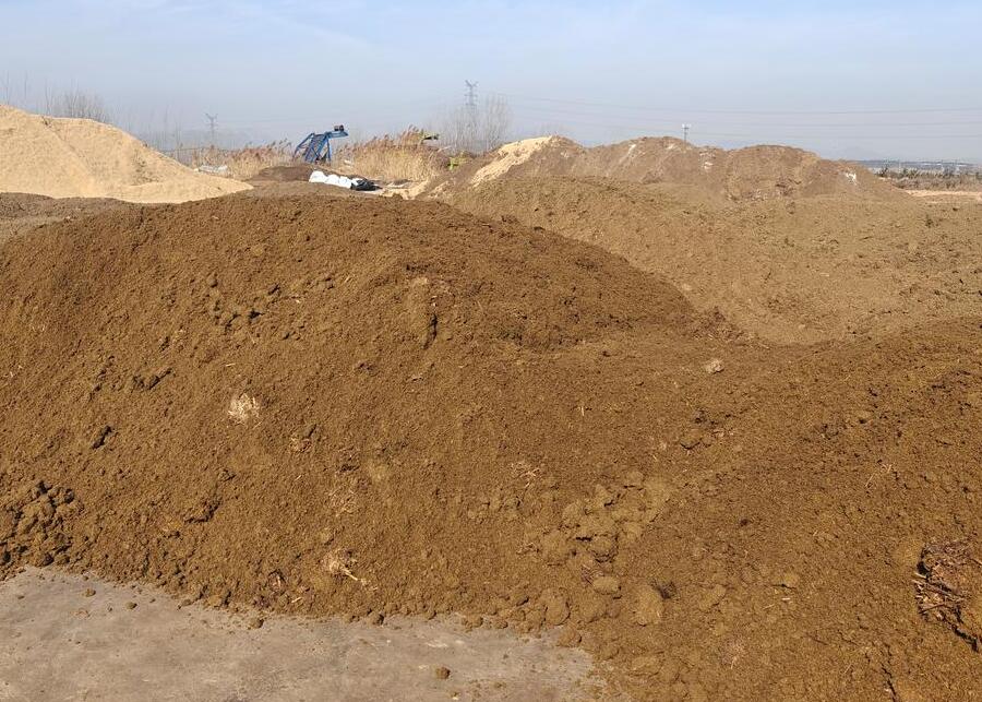 A pile of high-quality, fluffy recycled manure solids bedding