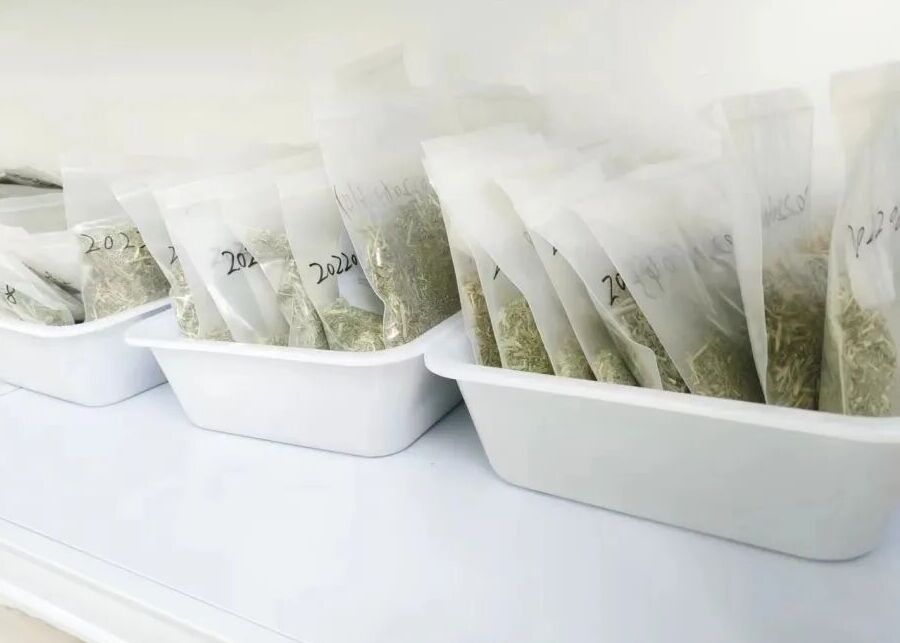A collection of farm forage samples in bags ready for testing
