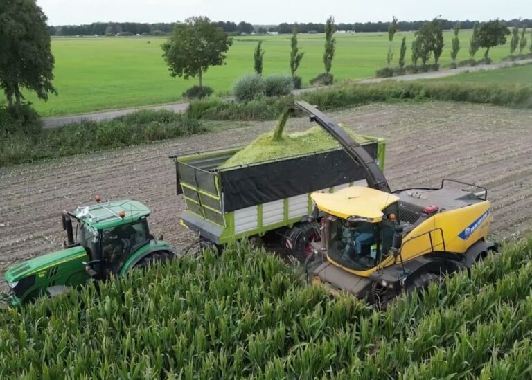 How Can You Maximize Your Corn Silage Quality This Harvest Season?