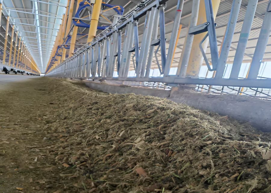 Taking a TMR sample from a feed bunk