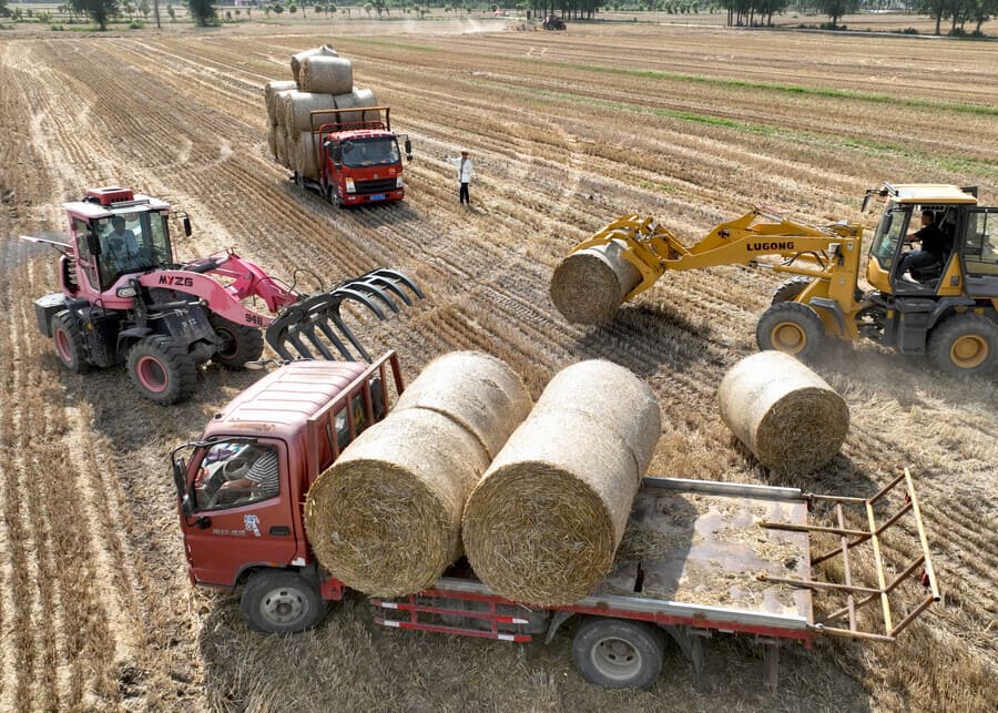 Wheat straw recycling and harvesting site