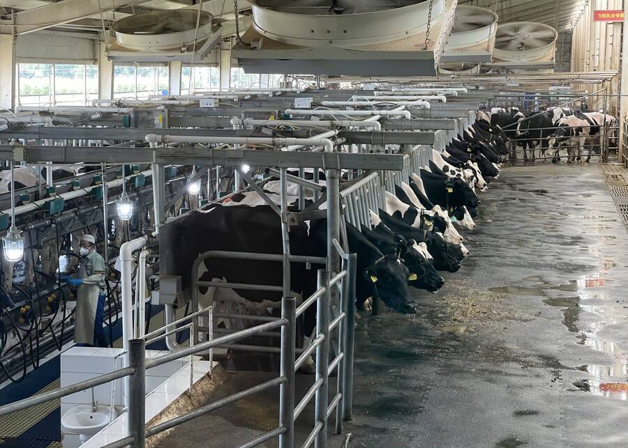 winter milking parlor