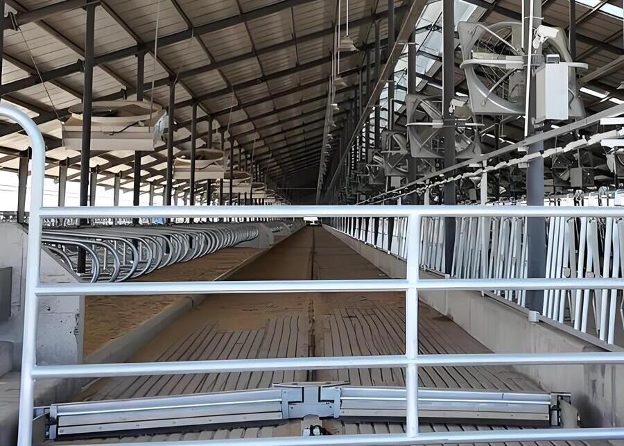 Barn Cleanliness Equipment barn fans and manure scrapers