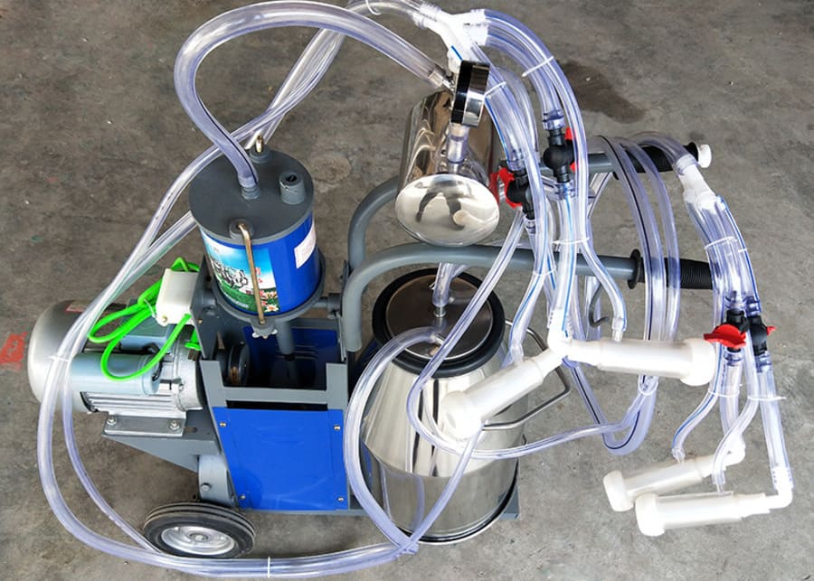 A mobile milking machine being prepared for use