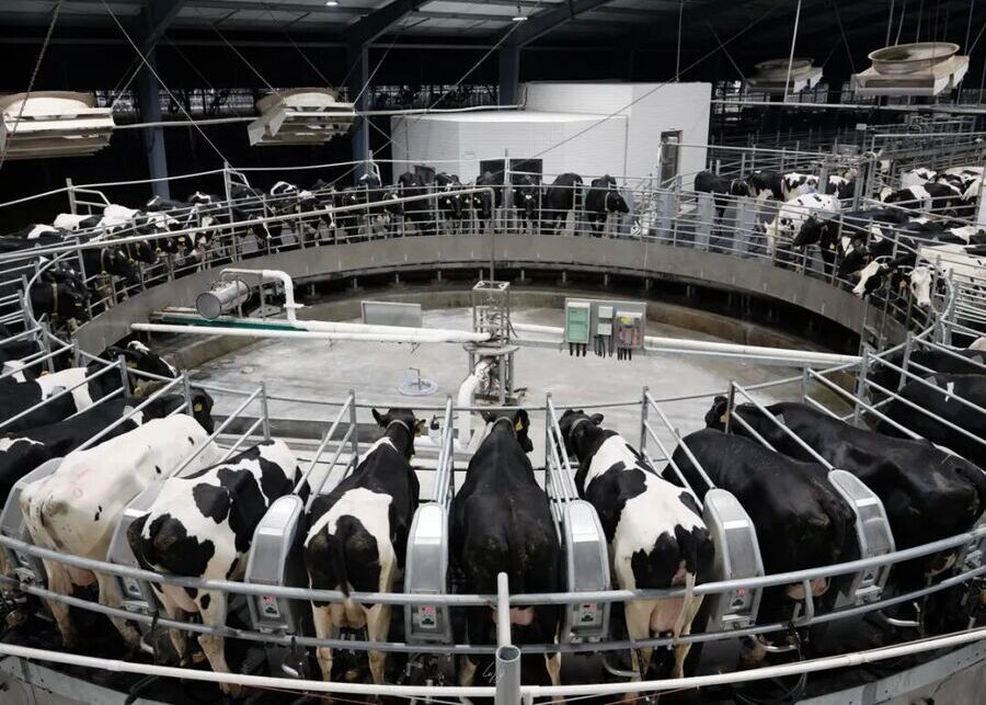 A modern dairy farm with integrated technology and data overlays