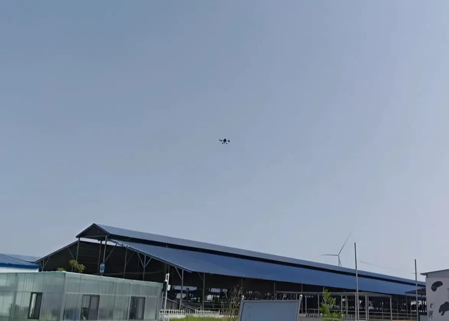 A drone flying over a herd of cows in a barn for inventory check