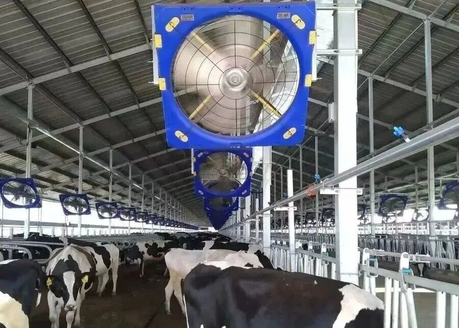 Smart Fan System for Cattle Barns