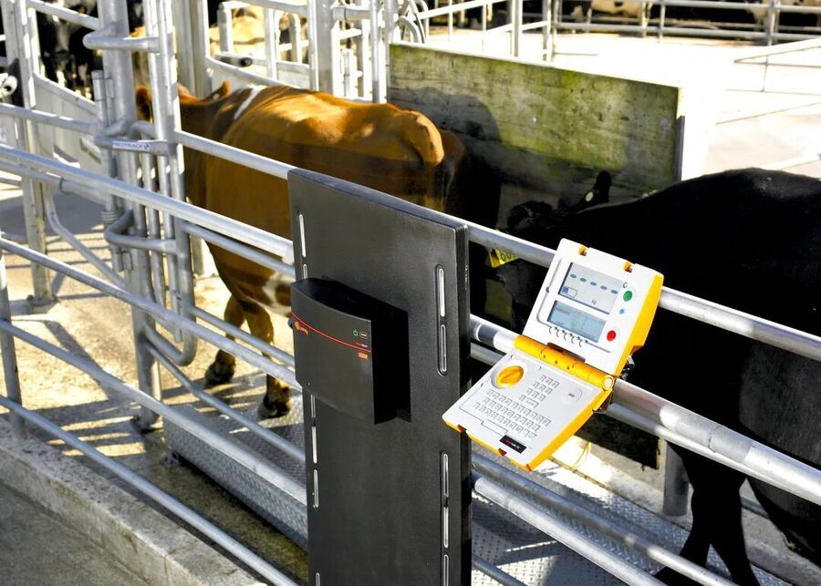 Close-up of the alley scale sensor and platform