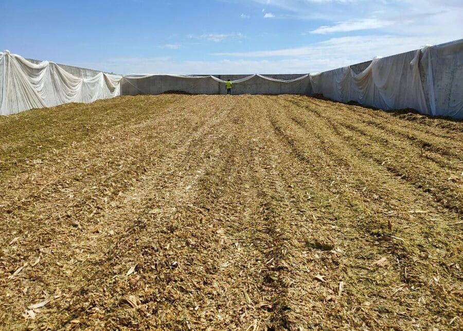 Large-capacity concrete bunker silo for professional feed storage