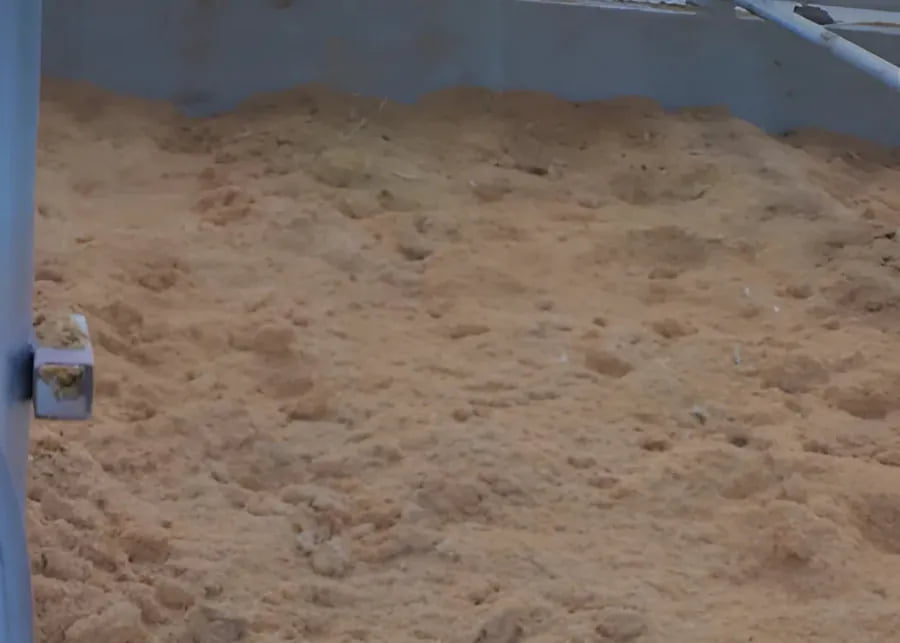 A farm worker spot cleaning a calving pen with fresh straw.