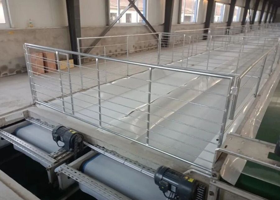 Indoor flat manure conveyor belt installed under sheep slatted floors