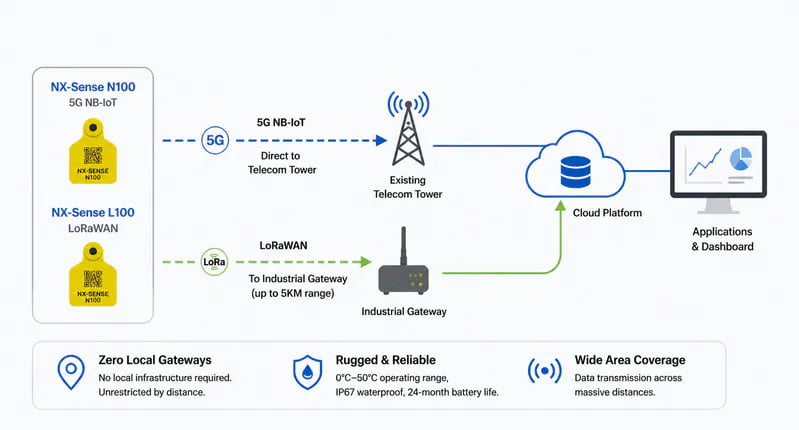 NX-Sense N100/L100 LPWAN Tag Architecture