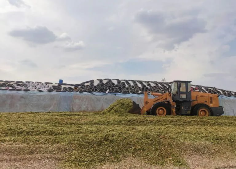 How Do You Choose the Best Silage Storage for Your Farm?
